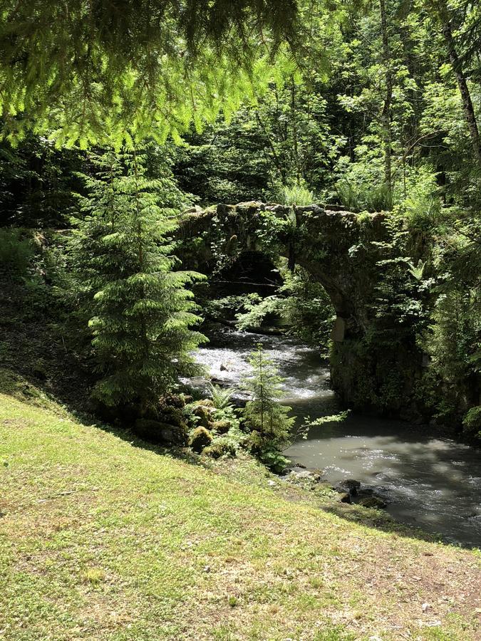 Le Moulin Des Olirics Villa Sallanches Exterior foto